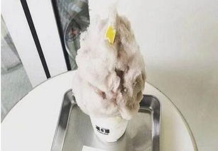 詩美克烏云冰淇淋 創新產品與加盟店經營探析